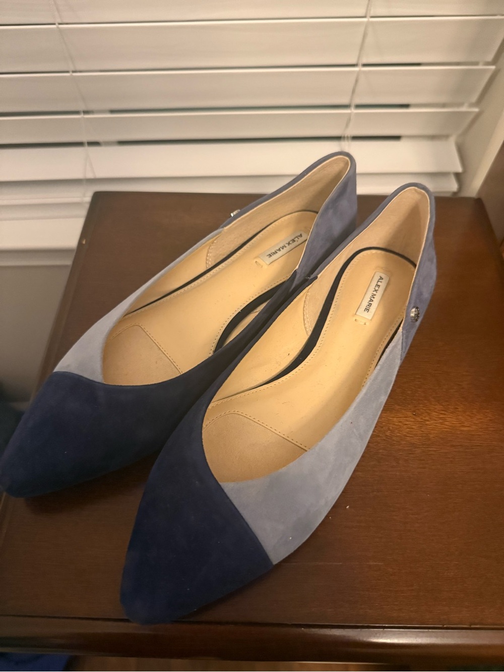 Alex Marie Two-Tone Navy and Light Blue Suede Pointed Flats